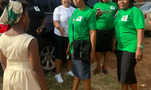 Oyeyinka Foundation (14)