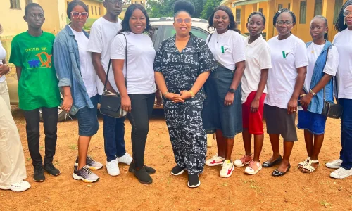 Oyeyinka Foundation (17)