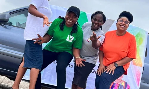 Oyeyinka Foundation (2)