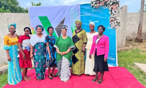 Oyeyinka Foundation (3)