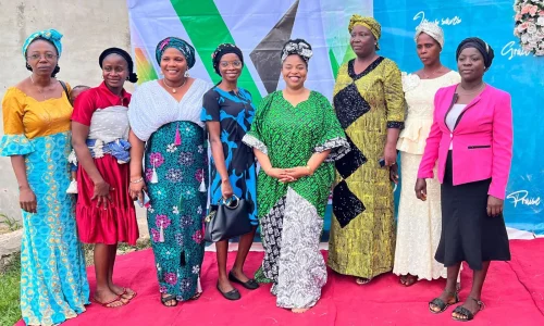 Oyeyinka Foundation (7)